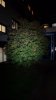 Screenshot_20191020-124830_Gallery.jpg Screenshot_20191020-124830_Gallery.jpg
