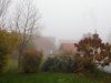 GartenCIMG0490.jpg