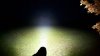 Screenshot_20191124-171422_Gallery.jpg Screenshot_20191124-171422_Gallery.jpg
