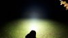 Screenshot_20191124-171415_Gallery.jpg Screenshot_20191124-171415_Gallery.jpg