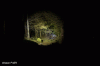 Loc1.gif Loc1.gif