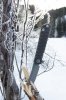 IMG_7589k.jpg