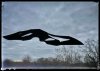 BEDC6310-C6A2-481F-BD2E-7FCF7F0DB5E5.jpeg