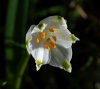 DSC06494 neu neu.jpg