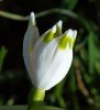 DSC06497 neu neu.jpg
