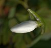 DSC06463 neu neu.jpg