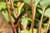 DSC05891AC1280.jpg