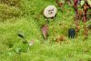 DSC06485AC1024.jpg