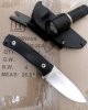 Lionsteel_kl.JPG
