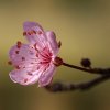 DSC06519 neuuu8.jpg