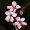 DSC06525 neu.jpg