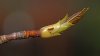DSC06526 neu.jpg