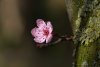 DSC06517 neu.jpg
