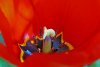 DSC06626 neu.jpg