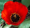 DSC06622 neu.jpg