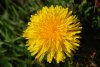 DSC06616 neu.jpg
