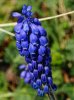 DSC06621 neu.jpg