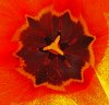 DSC06782 ssstr.jpg