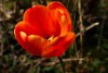 DSC06785.JPG