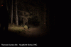 _Loc1 gesamt.gif _Loc1 gesamt.gif