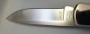20200504_152921.jpg
