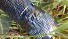20200529_184712.jpg