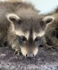 BFBFF38A-0012-4A20-A9DB-026474EDD7F7.jpeg