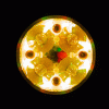 Bunt_KR4_ASP.gif