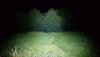 20200629_234946.jpg