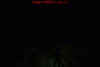 MS03_L_T_580.gif MS03_L_T_580.gif