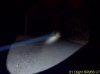 01 Olight SR95S UT.jpg