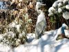 Winter2012_Compressed_0004.jpg