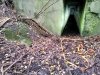 IMG_20201002.jpg