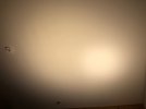 3D925031-59D5-4DC8-BA14-01FDE6EBE891.jpeg