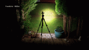 12_Front-Seitenlicht.gif 12_Front-Seitenlicht.gif