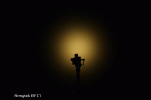 16_WS_4.gif