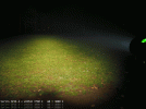 SP36-Vergleich Park.gif