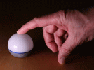 Obulb-5-Cent.gif