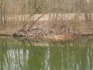 DSCN1245.JPG