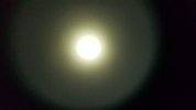 20210405_060609.jpg