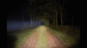 20210406_125412.gif 20210406_125412.gif
