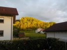 DSCN1366.JPG