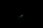 DSC09787.JPG