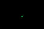DSC09788.JPG