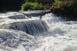 Wasserfall Neustadt (8).jpg