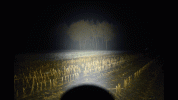 20211103_121436.gif