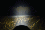 20211103_121950.gif