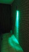 P1191650.jpg