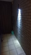 P1191652.jpg