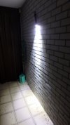 P1191653.jpg